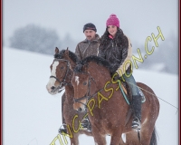 SEMSALES - 0254